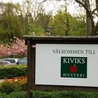 En skylt välkomnar besökare till Kiviks musteri framför en parkering och blommande träd.