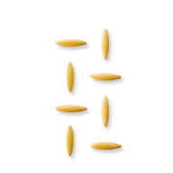 Åtta pasta i form av ris ligger utspridda på en vit bakgrund.