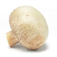 Champinjon