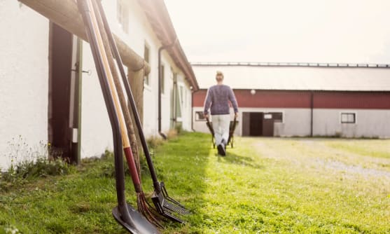 En lantbrukare som går med en skottkärra. Bredvid ser man en ladugård.