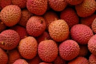 Litchi i närbild.