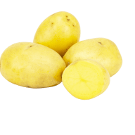 Potatissorten Cecile