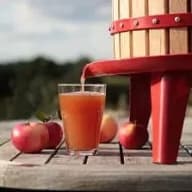 En fruktpress står på ett träbord med ett glas juice, äpplen och en bakgrund av träd.