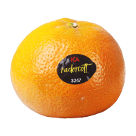 En citrusfrukt med en etikett.