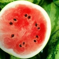 Vattenmelon