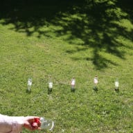 En person håller en tallrik framför några glasburkar på en gräsmatta med träd i bakgrunden.