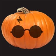 8. "Harry Potter"-pumpa