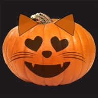 Halloweenpumpa med en glad katt som motiv