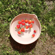Jordgubbar i en skål med vatten på en gräsmatta.