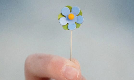 Hand som håller upp en majblomma.