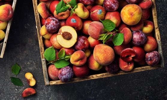 Stenfukter plockade vid Medelhavet