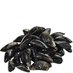 Blåmusslor