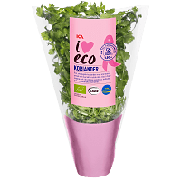 ICA I love eco. Rosa Bandet. Sverige Basilika i kruka, Koriander i kruka