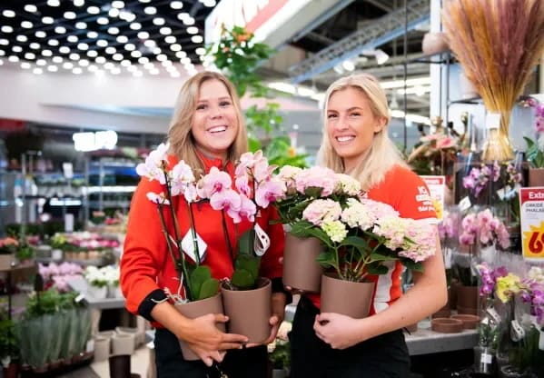 billiga blommor uppsala billiga blommor uppsala