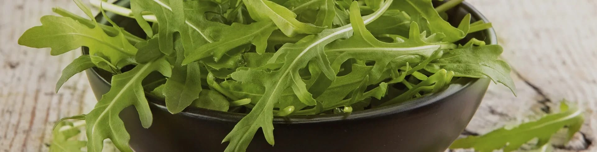 Ruccola kräm