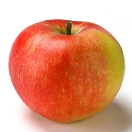 applet de oțet apple în varicoză
