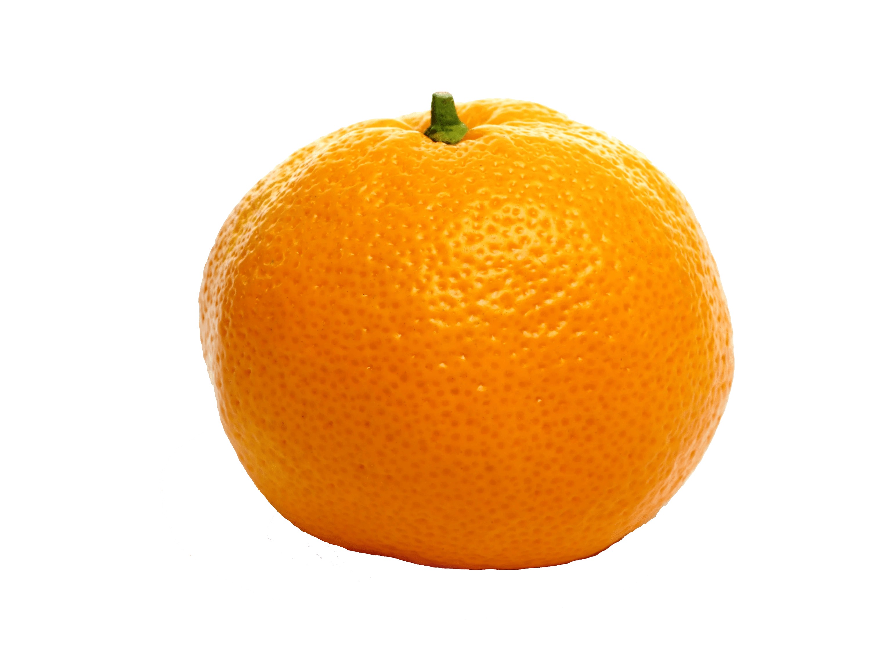 clementiner mandariner satsumas skillnad