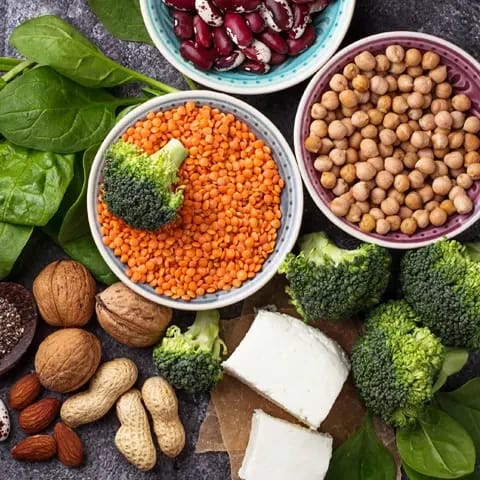 fullvärdigt vegetabiliskt protein