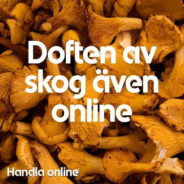 Handla online