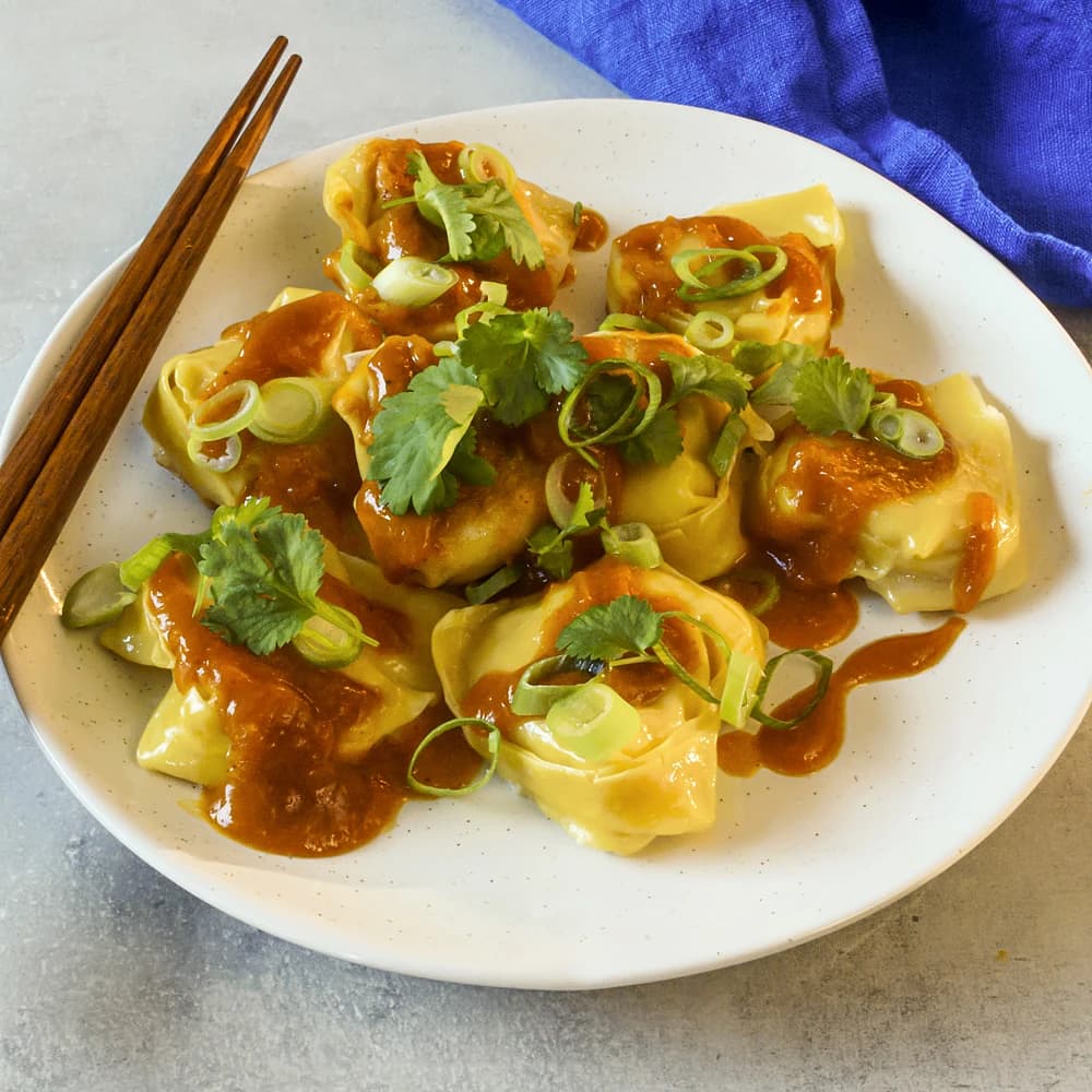 Katsu chicken dumplings