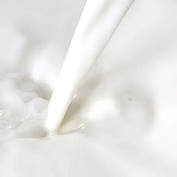 Myter om mjölk