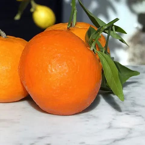 Matskola - Filea apelsin