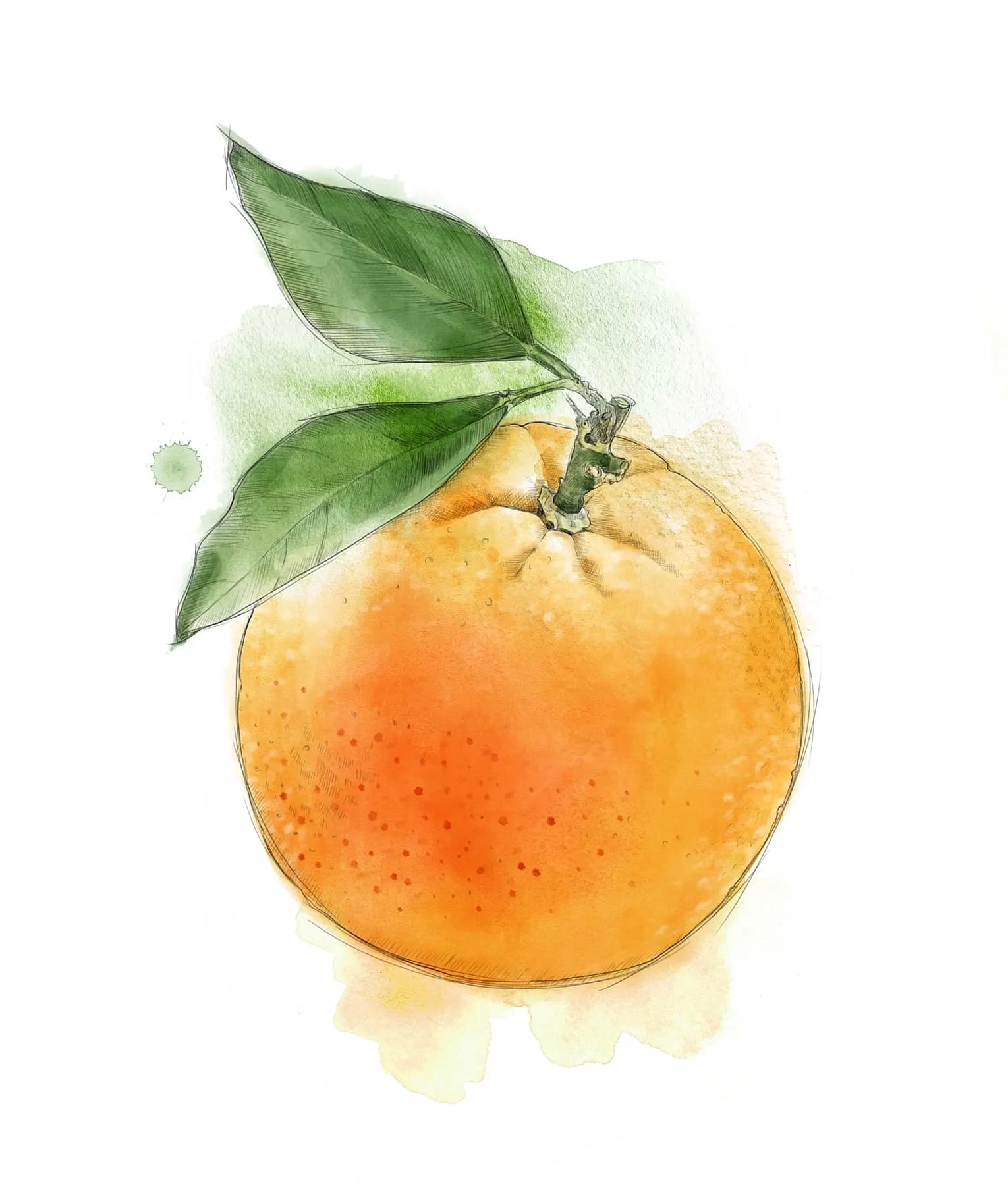 Apelsinillis