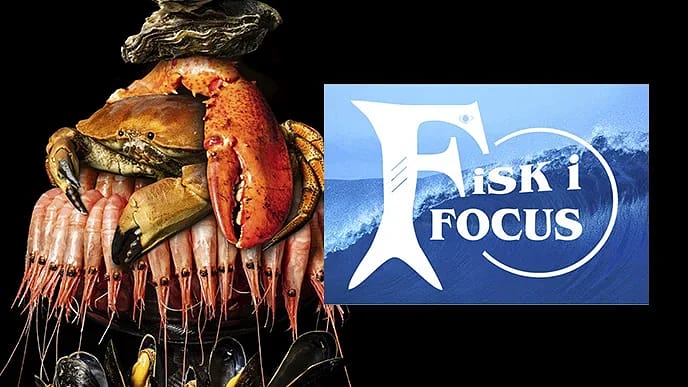 Fisk i Focus