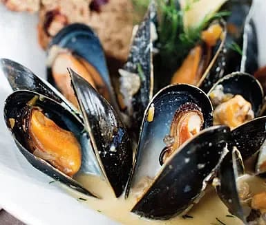 Guinnesskokta musslor med dill