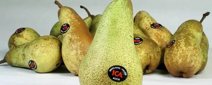 frukt