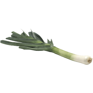 Purjolök
