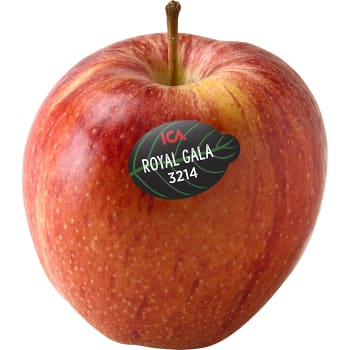 Äpple Royal Gala ICA ca 220g