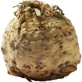 Rotselleri ca 450g