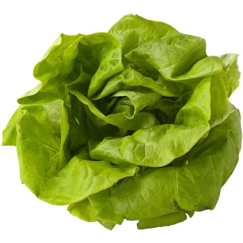 Sallad Huvud