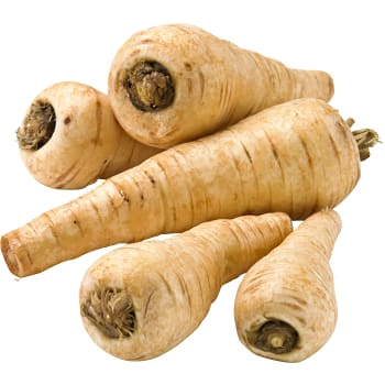 Palsternacka