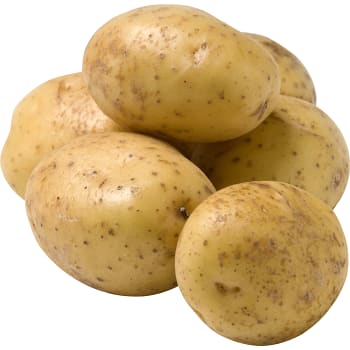 Potatis fast