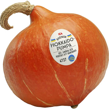 Hokkiadopumpa ICA ca 1kg