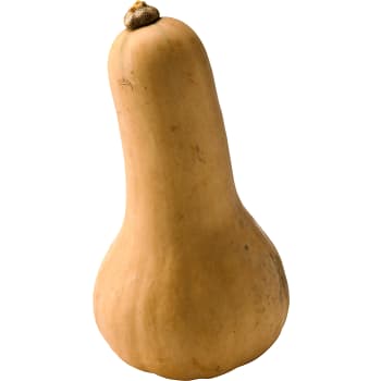 Pumpa Butternut ca 900g
