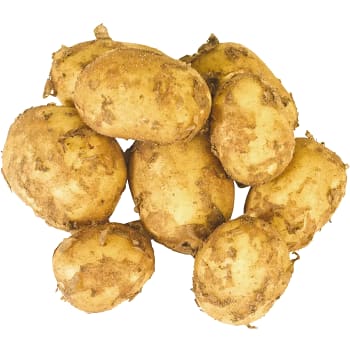 Färskpotatis Otvättad ca 50g
