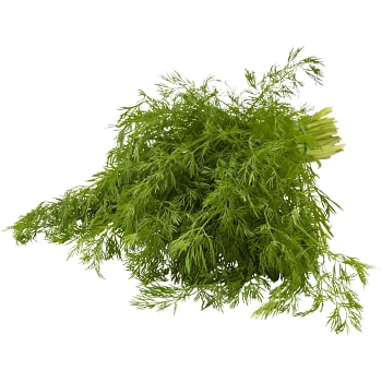 Dill