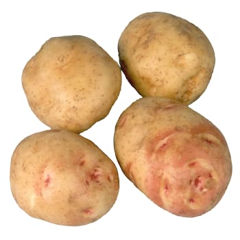 Potatis Mjölig Lösvikt