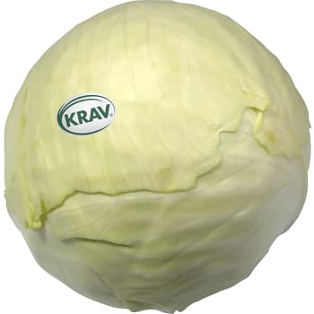 Kål Vit Eko