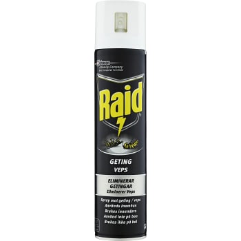 Raid Getingspray 300ml