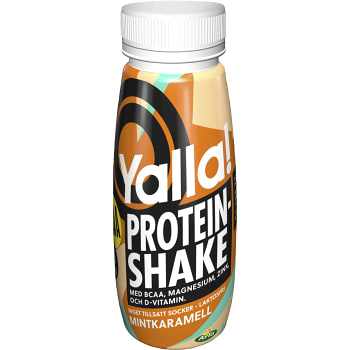 Proteinshake BCAA Mintkaramell Laktosfri 250ml Arla