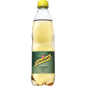 Ginger Ale 50cl Schweppes