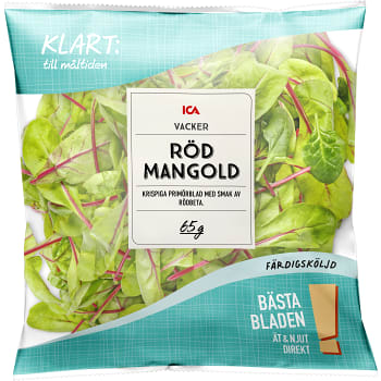 Finbladig röd mangold Sköljd 65g 1 ICA