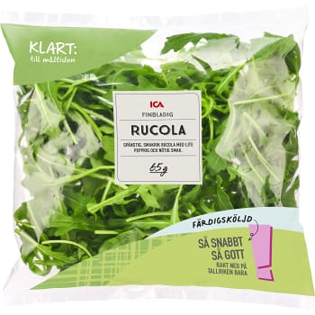 Rucola