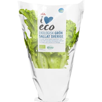 Grön kruksallat Ekologisk 1-p KRAV Klass 1 ICA I love eco