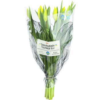 Tulpaner 10-pack gula ICA