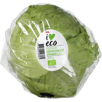 Isbergssallat eko